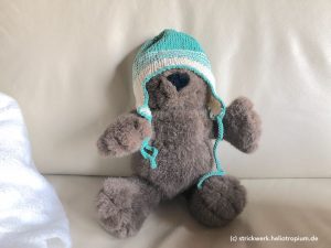 Teddy, der eine Mütze trägt